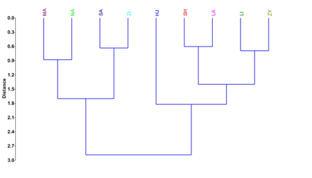 medium/medium-AJBM-78-01-e110-gf2.png