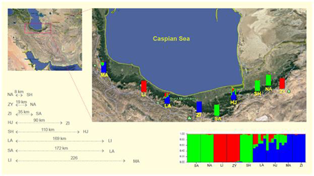 medium/medium-AJBM-78-01-e110-gf7.png