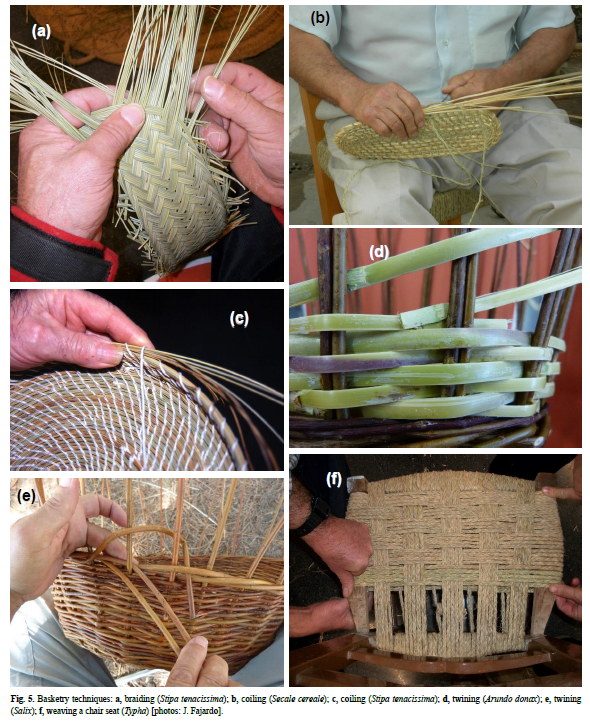 View of Basketry as an ecosystem service of wetlands: traditional crafts in  central Spain