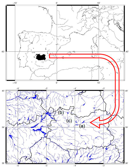 medium/medium-AJBM-78-02-e115-gf1.png
