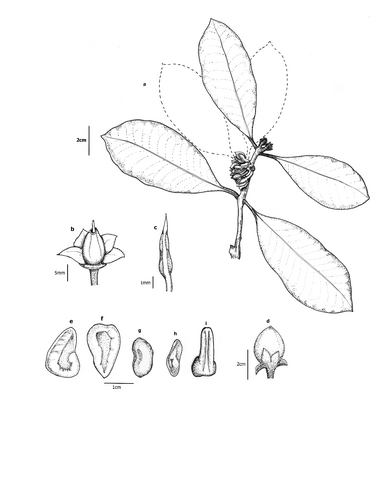 media/dc8291a3265249eaabd980743f9f1923_003.png